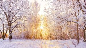 TSP planning report for January 2020