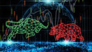 Bull and bear market tsp report investment