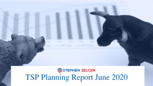 TSP Planning Report 2020 from Stephen Zelcer